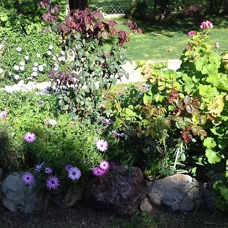 Sun Garden Semesterbostad