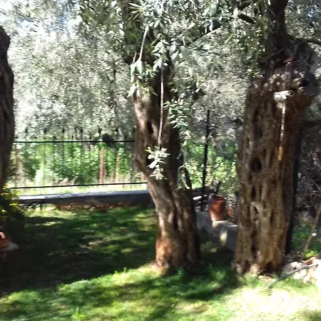 Semesterbostad Sun Garden Skala Sotiros