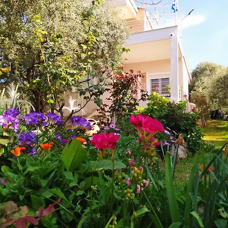 Sun Garden