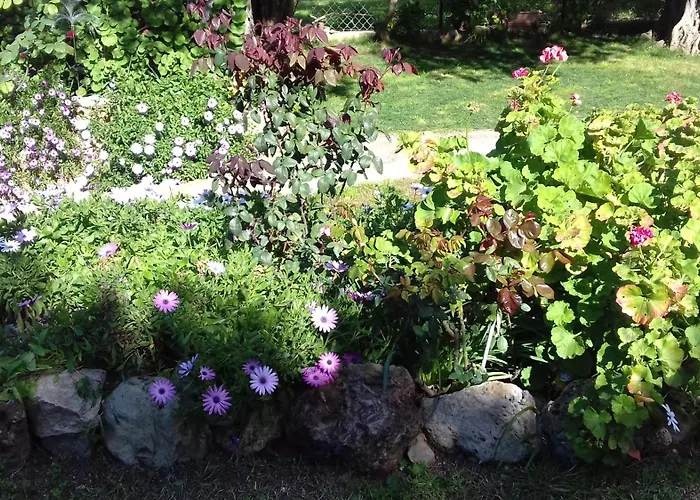 Sun Garden Semesterbostad