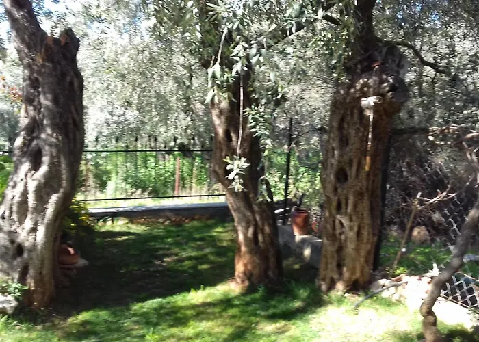 Semesterbostad Sun Garden Skala Sotiros