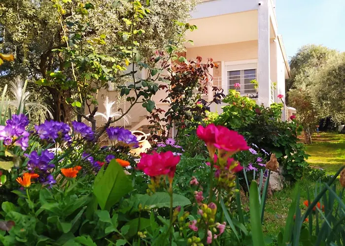 Sun Garden
